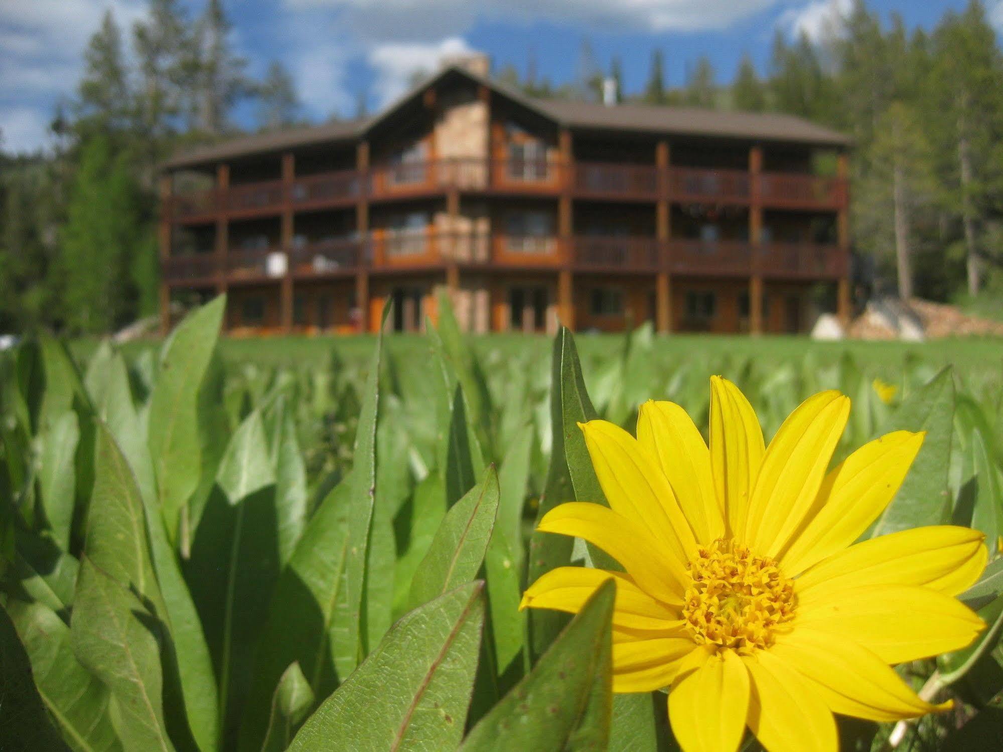Beaver Creek Lodge Logan Zewnętrze zdjęcie